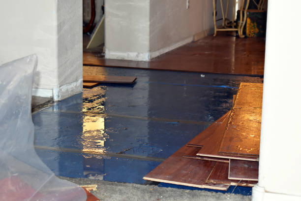 Professional Flood Cleanup technician working in Luck, WI